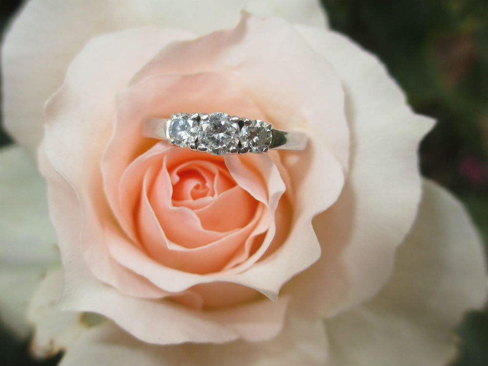Engagement rings at Torosi